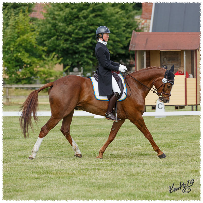 1406-1a-1901-Dino-DR