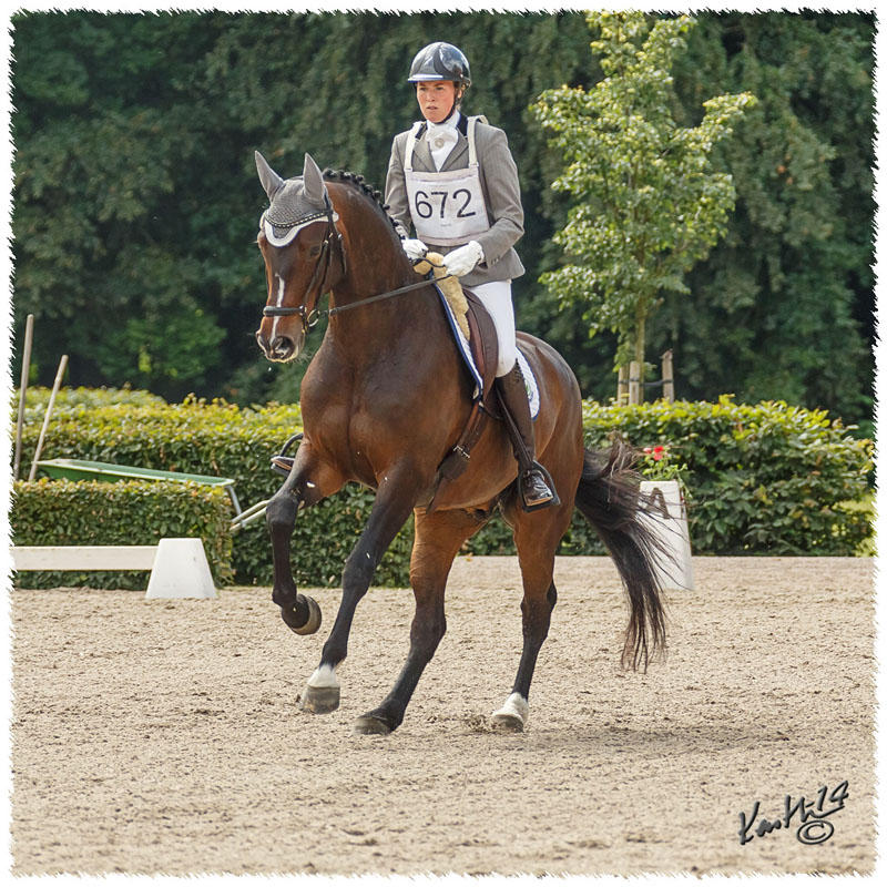 1406-2a-2131-Zorro-DR