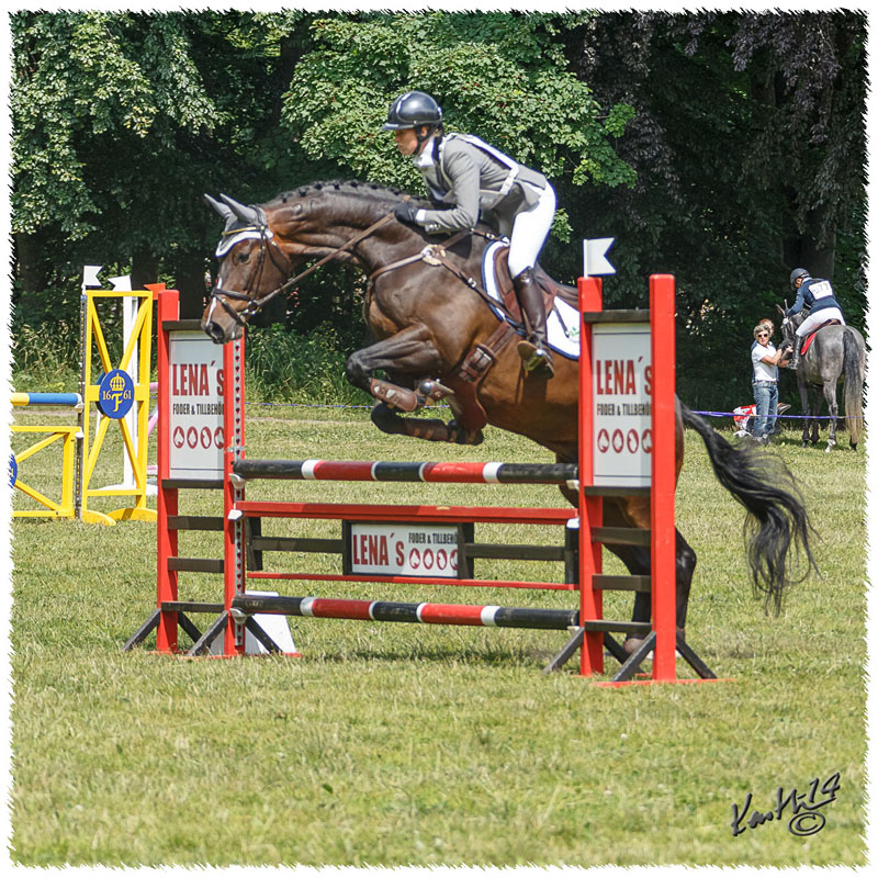 1406-2b-2194-Zorro-SJ