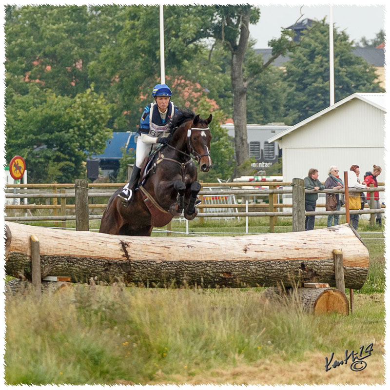 1406-2c-2450-Zorro-CC