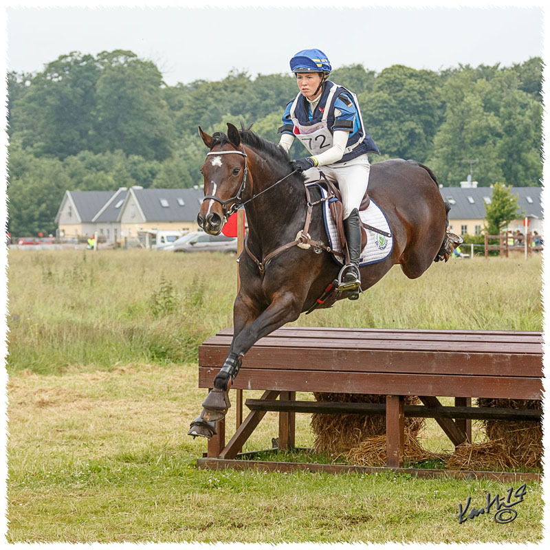 1406-2c-2466-Zorro-CC
