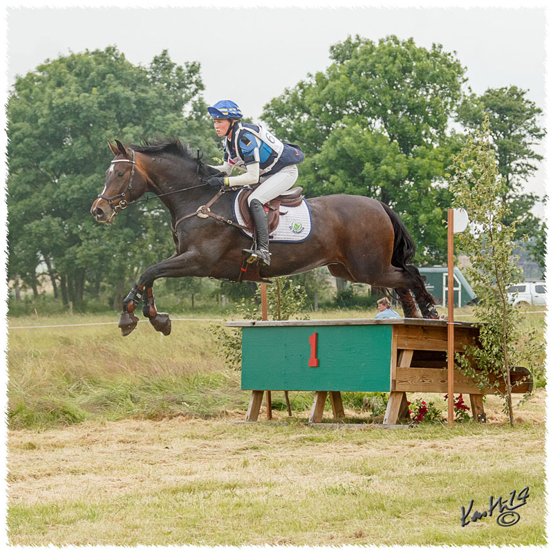 1406-2c-2483-Zorro-CC