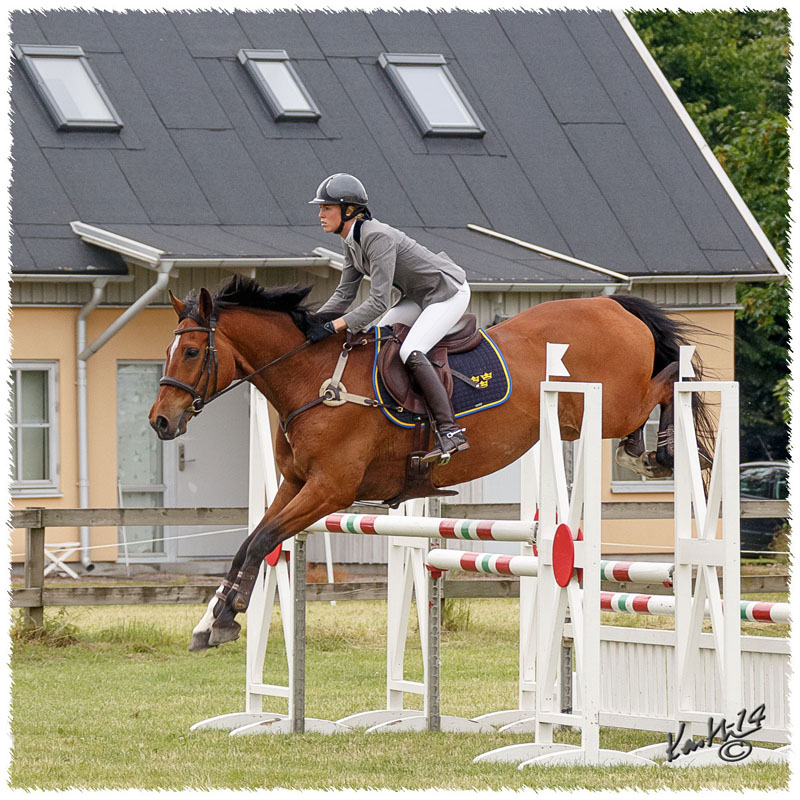 1406-3b-2578-Nisse-SJ