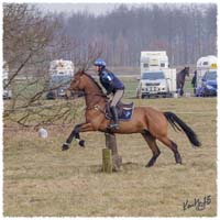 1503-5909-Ted-xc-SaG-CoCo