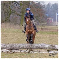 1503-5912-Ted-xc-SaG-CoCo