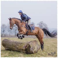 1503-5934-Ted-xc-SaG-CoCo