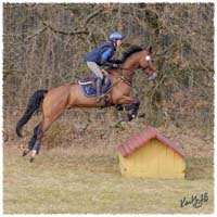 1503-5966-Ted-xc-SaG-CoCo