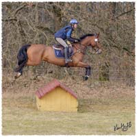 1503-5967-Ted-xc-SaG-CoCo