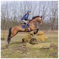1503-5994-Ted-xc-SaG-CoCo