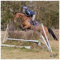 1503-5998-Ted-xc-SaG-CoCo