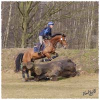 1503-6002-Ted-xc-SaG-CoCo